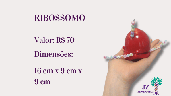 Ribossomo