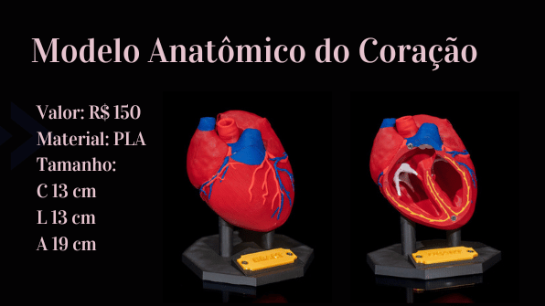 Modelo anatômico do coração