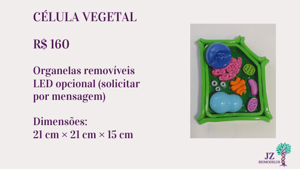 Célula vegetal