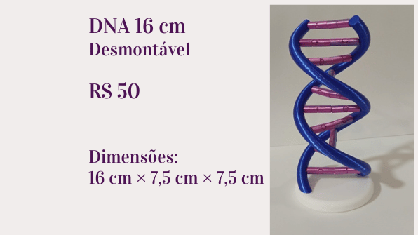DNA 16 cm